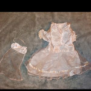 Wedding dress for a small dog an veil